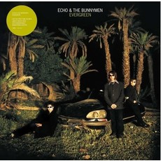 ECHO & THE BUNNYMEN / Evergreen