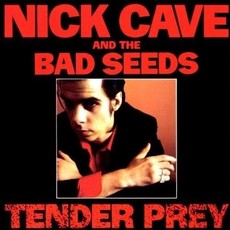 CAVE,NICK & BAD SEEDS / Tender Prey