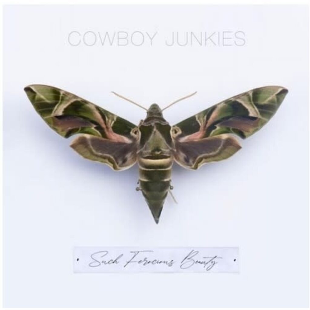 COWBOY JUNKIES / Such Ferocious Beauty (CD)