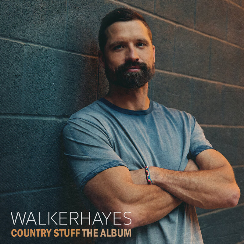 HAYES,WALKER / Country Stuff The Album
