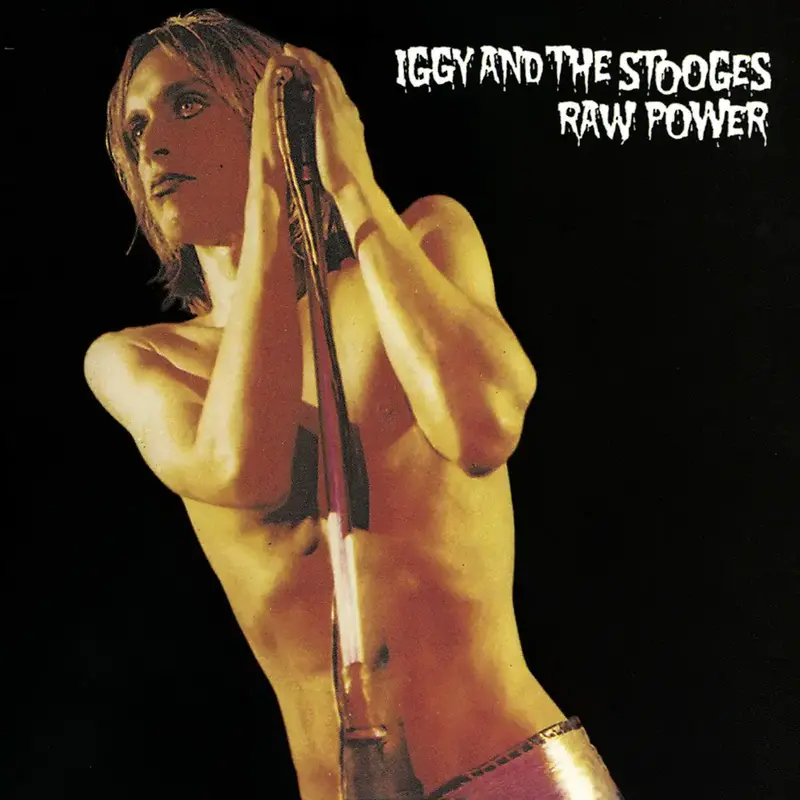 Iggy & The Stooges / Raw Power (Gold Vinyl)(RSD Essential)