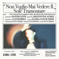 POLACHEK,CAROLINE / Non Voglio Mai Vedere 7”