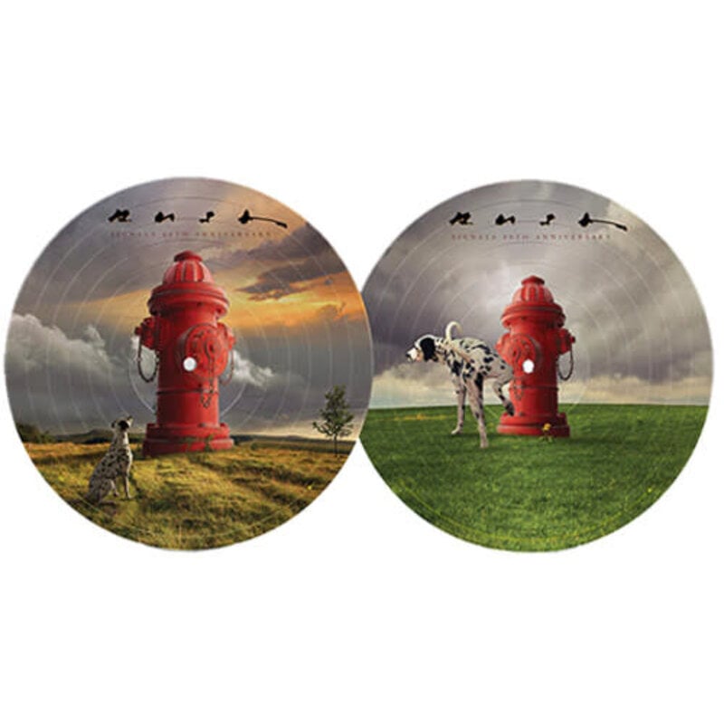 RUSH / Signals (Limited Edition, Picture Disc Vinyl, 40th Anniversary Edition)