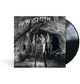 AEROSMITH / Night In The Ruts