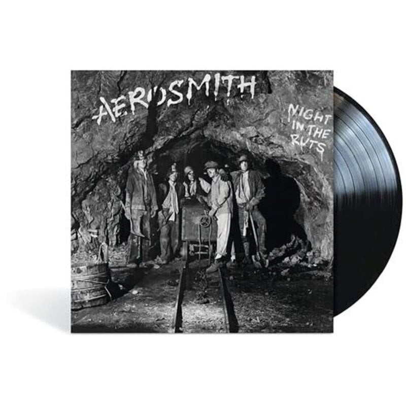 AEROSMITH / Night In The Ruts