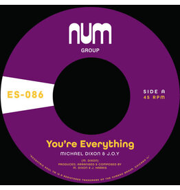 DIXON MICHAEL A. & J.O.Y. / You're Everything b/w You're All I Need 7”