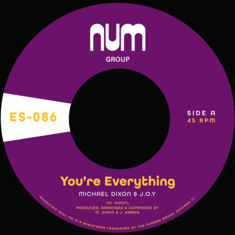 DIXON,MICHAEL A. & J.O.Y. / You're Everything b/w You're All I Need (Purple) 7”