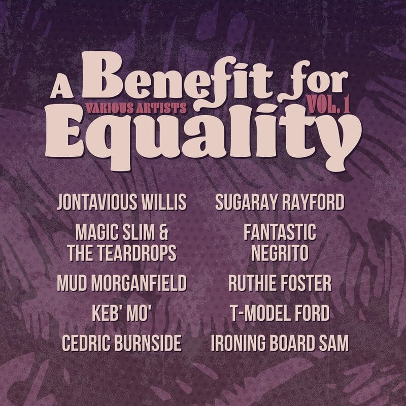 BENEFIT FOR EQUALITY 1 / VARIOUS (Limited Edition, Indie Exclusive)