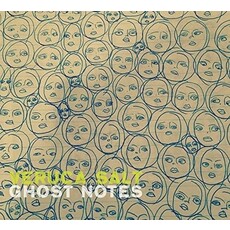 Veruca Salt / Ghost Notes (CD)