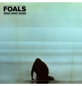 FOALS / WHAT WENT DOWN (DELUXE CD/DVD) (CD)