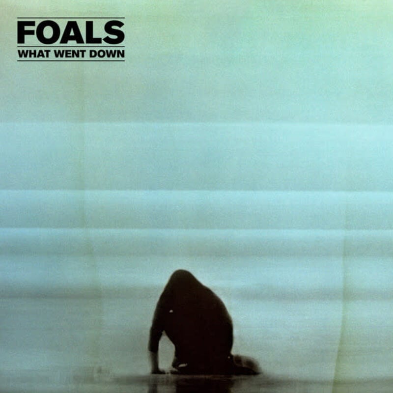 FOALS / WHAT WENT DOWN (DELUXE CD/DVD) (CD)