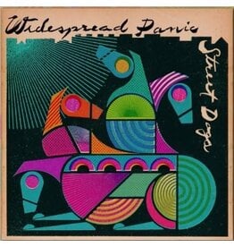 WIDESPREAD PANIC / STREET DOGS (CD)