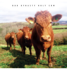 DUB DYNASTY / Holy Cow (CD)