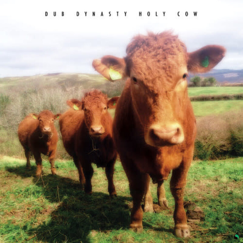 DUB DYNASTY / Holy Cow (CD)