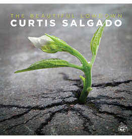SALGADO,CURTIS / Beautiful Lowdown (CD)