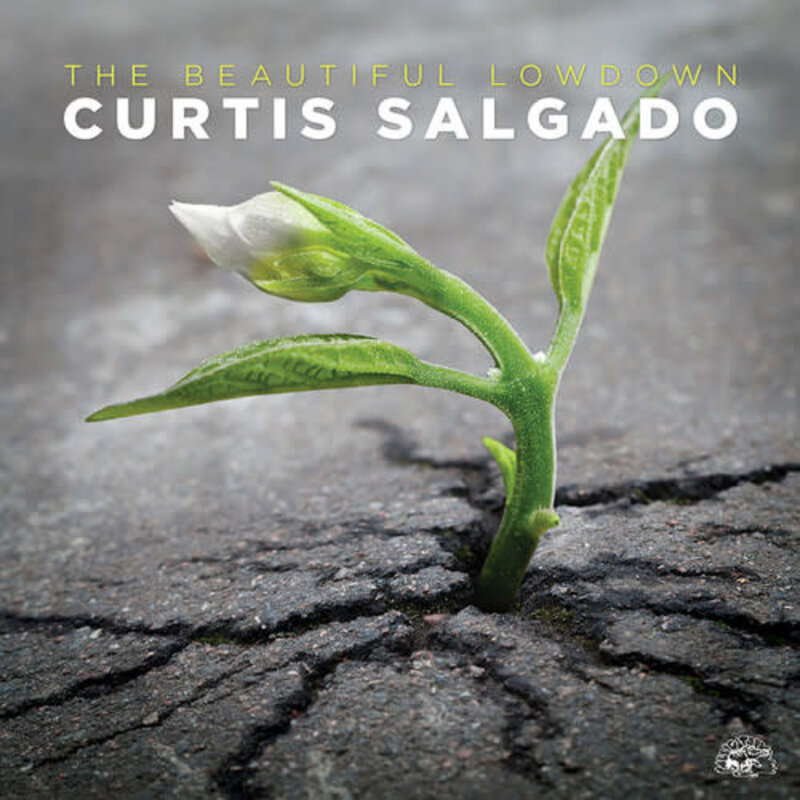 SALGADO,CURTIS / Beautiful Lowdown (CD)