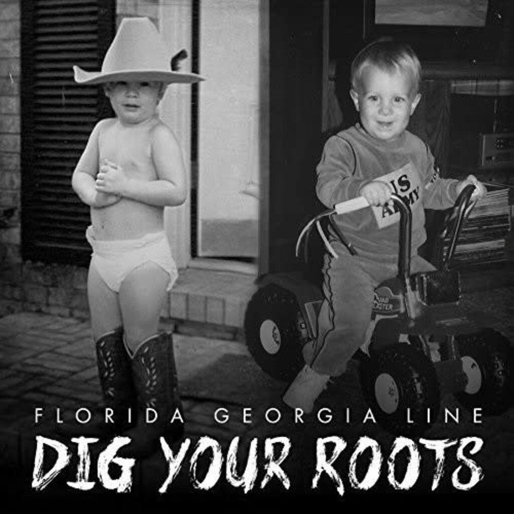 FLORIDA GEORGIA LINE / Dig Your Roots (CD)