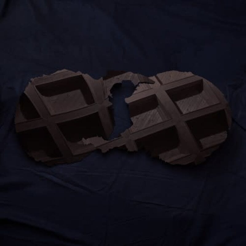 DIRTY PROJECTORS / Dirty Projectors (CD)