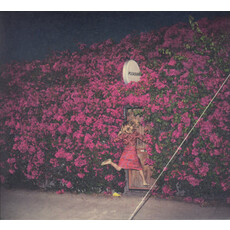 FEIST / Pleasure (CD)