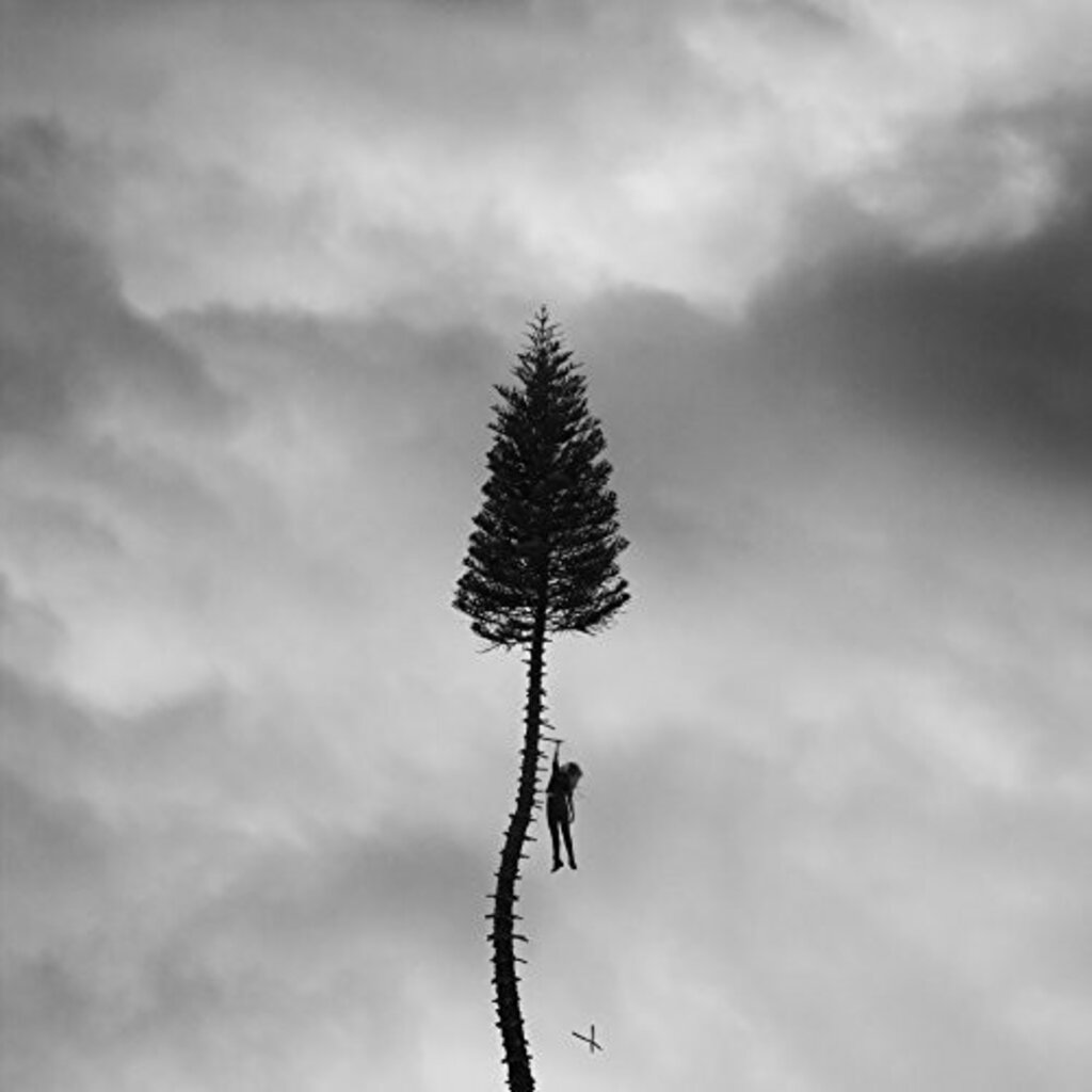 MANCHESTER ORCHESTRA / A Black Mile To The Surface (CD)