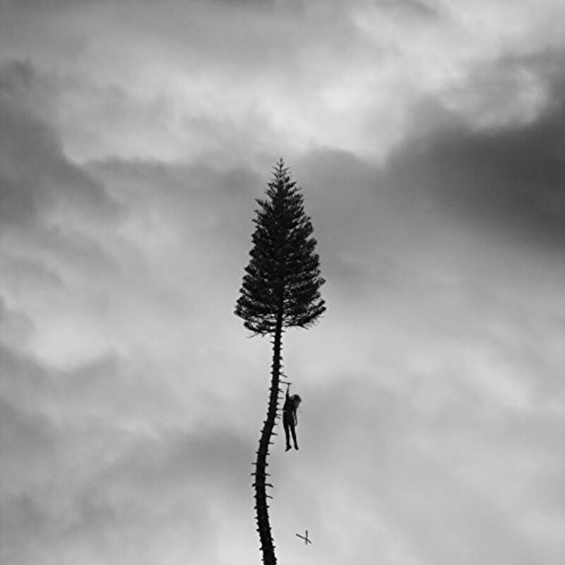 MANCHESTER ORCHESTRA / A Black Mile To The Surface (CD)