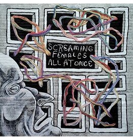 SCREAMING FEMALES / ALL AT ONCE (CD)