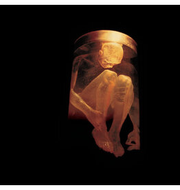 ALICE IN CHAINS / NOTHING SAFE: BEST OF THE BOX (CD)