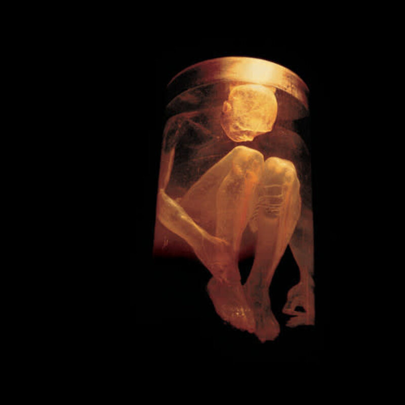 ALICE IN CHAINS / NOTHING SAFE: BEST OF THE BOX (CD)