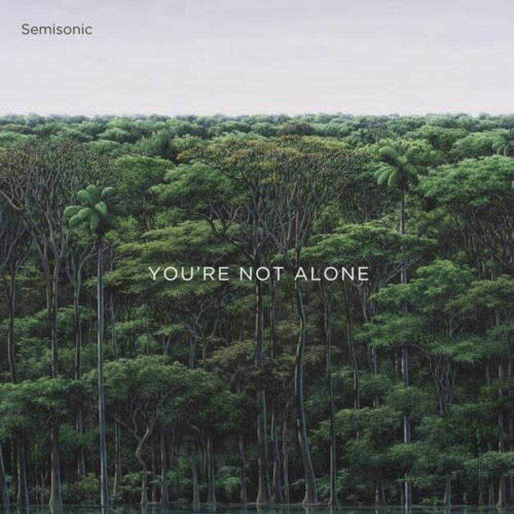 SEMISONIC / YOU'RE NOT ALONE (CD)