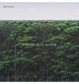 SEMISONIC / YOU'RE NOT ALONE (CD)
