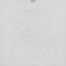 Bon Iver / Bon Iver (10th Anniversary Edition) (CD)