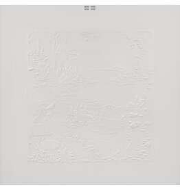 Bon Iver / Bon Iver (10th Anniversary Edition) (CD)