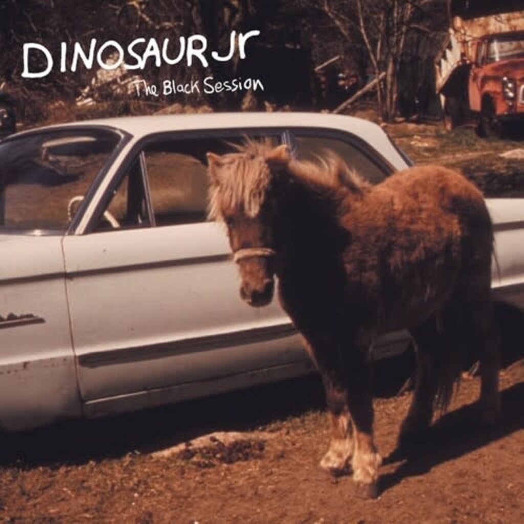 DINOSAUR JR. / The Black Session: Live In Paris 1993