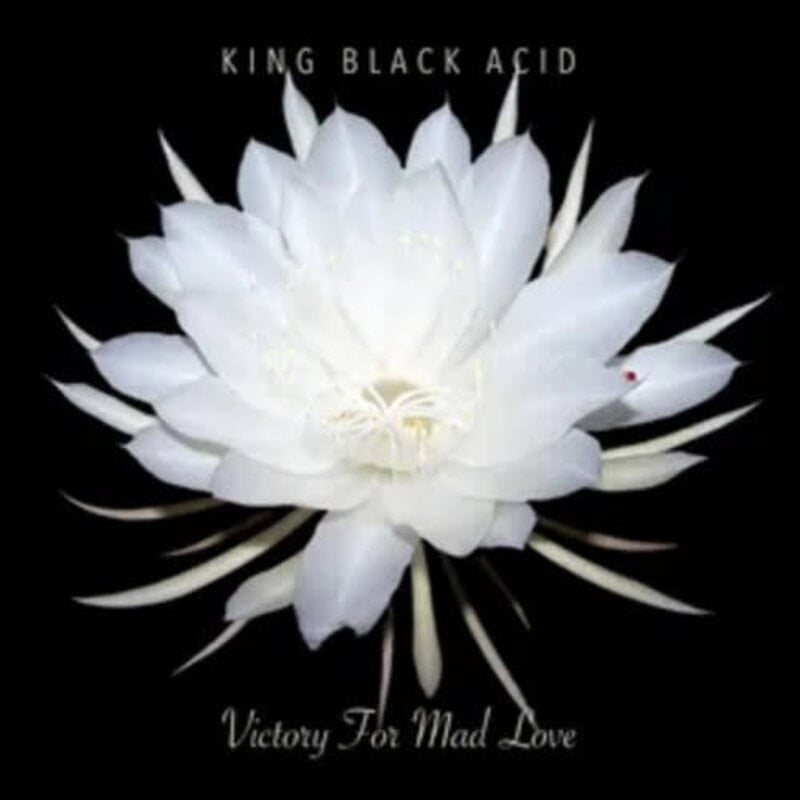 KING BLACK ACID / VICTORY FOR MAD LOVE (RSD-2024)
