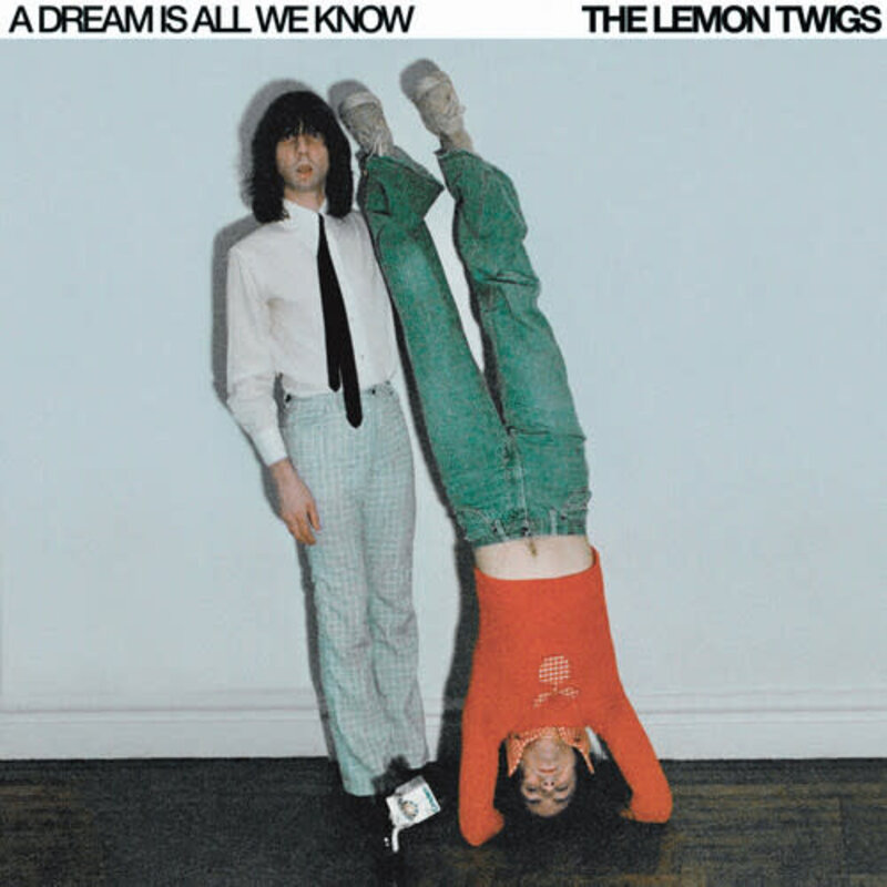 LEMON TWIGS / A Dream Is All We Know