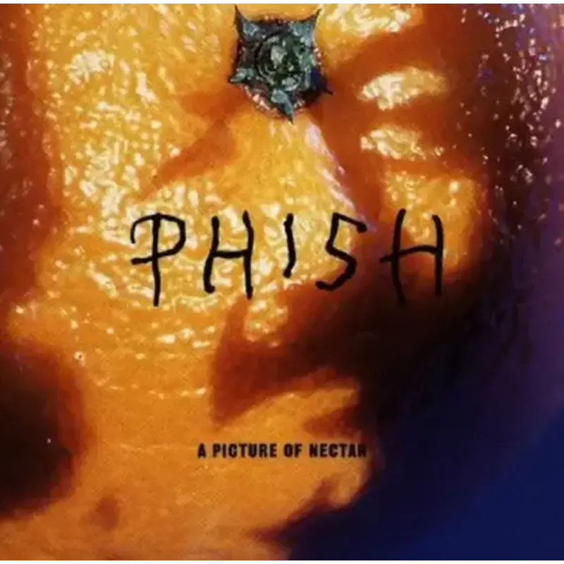 PHISH / Picture Of Nectar (Colored Vinyl)