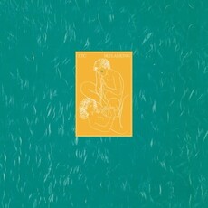 XTC / Skylarking (2016 Steven Wilson Mix 200gm Vinyl - Import)
