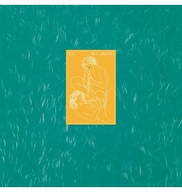 XTC / Skylarking (2016 Steven Wilson Mix 200gm Vinyl - Import)