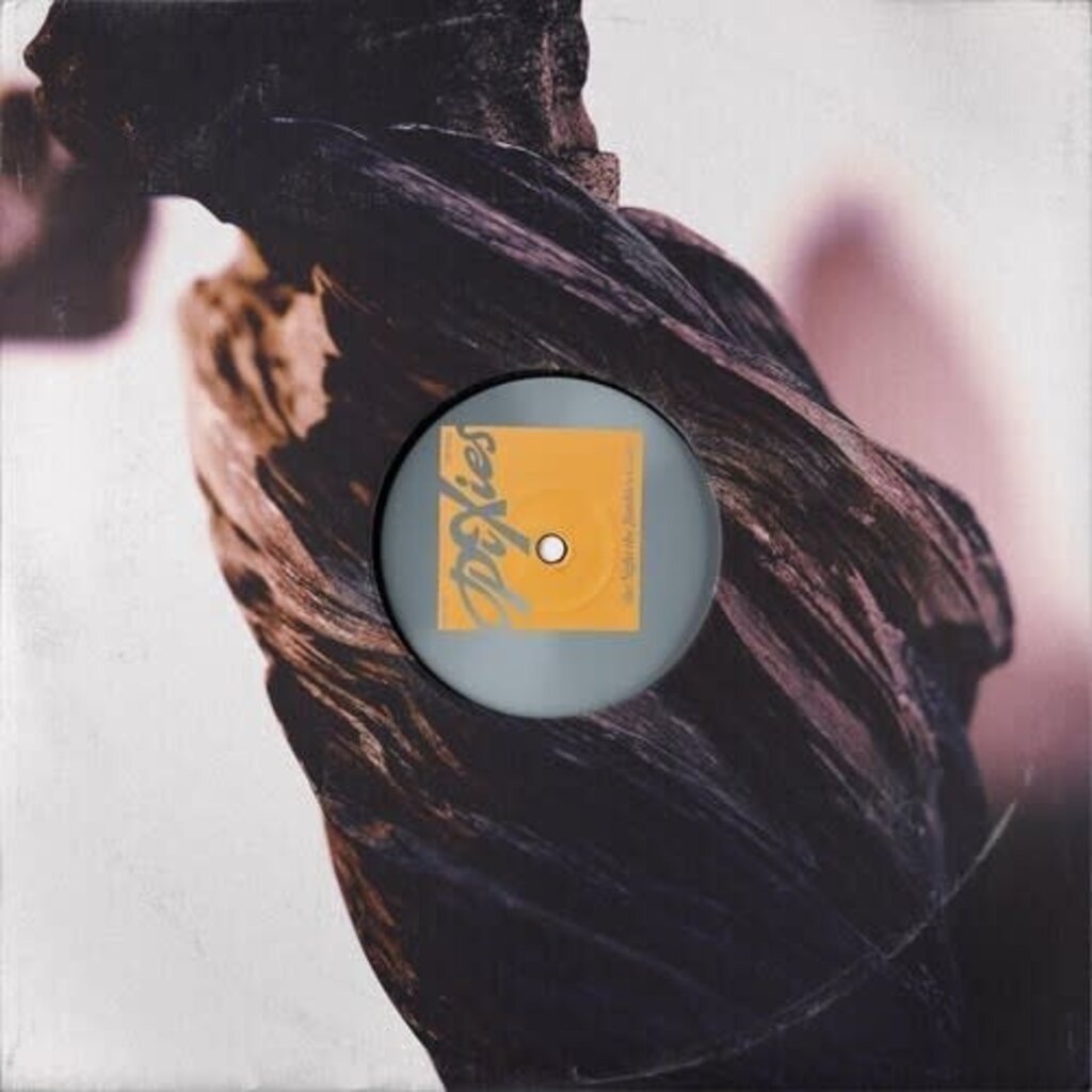 PIXIES / The Night The Zombies Came