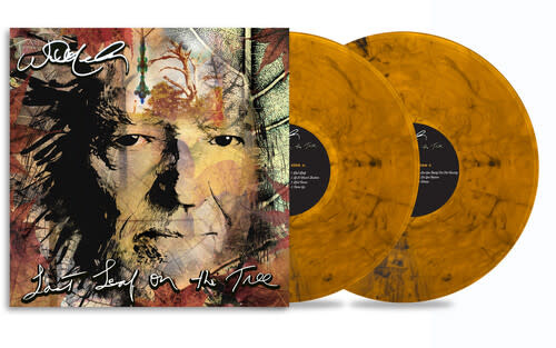 2LP Willie Nelson Last Leaf On The Tree 19802836881 Legacy 未開封 /00520 Amazon.com: Last Leaf On The Tree: CDs & Vinyl