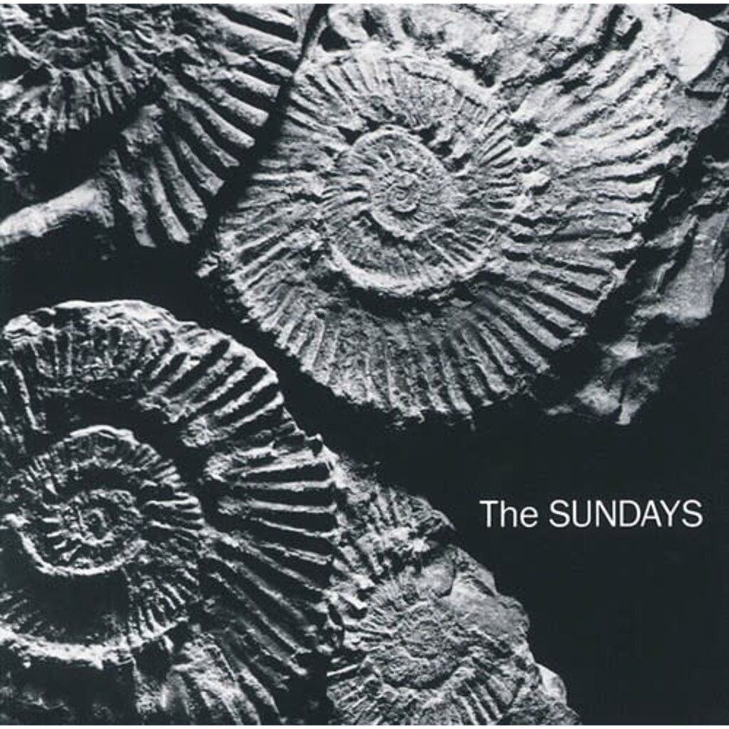 SUNDAYS / Reading, Writing, And Arithmetic (Colored Vinyl, Silver)