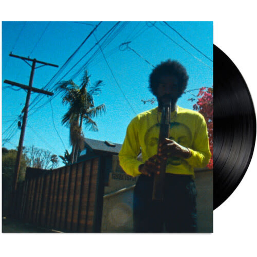 ANDRE 3000 / Moving Day