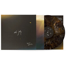 MT. JOY / Hope We Have Fun (Colored Vinyl, Brown)