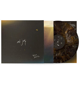 MT. JOY / Hope We Have Fun (Colored Vinyl, Brown)