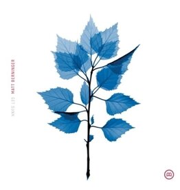 BERNINGER,MATT / Get Sunk