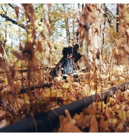 billy woods / GOLLIWOG