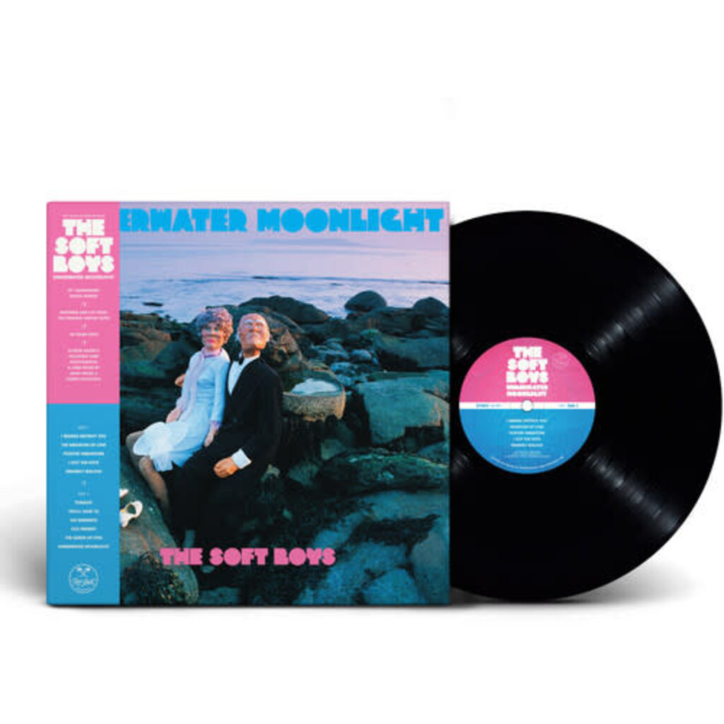 SOFT BOYS / Underwater Moonlight Deluxe Edition, Remastered, Anniversary Edition, Gatefold LP Jacket, Photo / Photo Card)