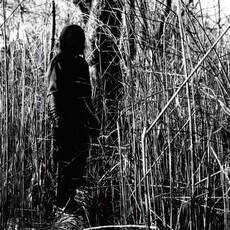 billy woods / Today, I Wrote Nothing (10 Year Anniversary Reissue) (CD)