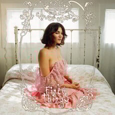 CLOVER COUNTY / Finer Things (CD)