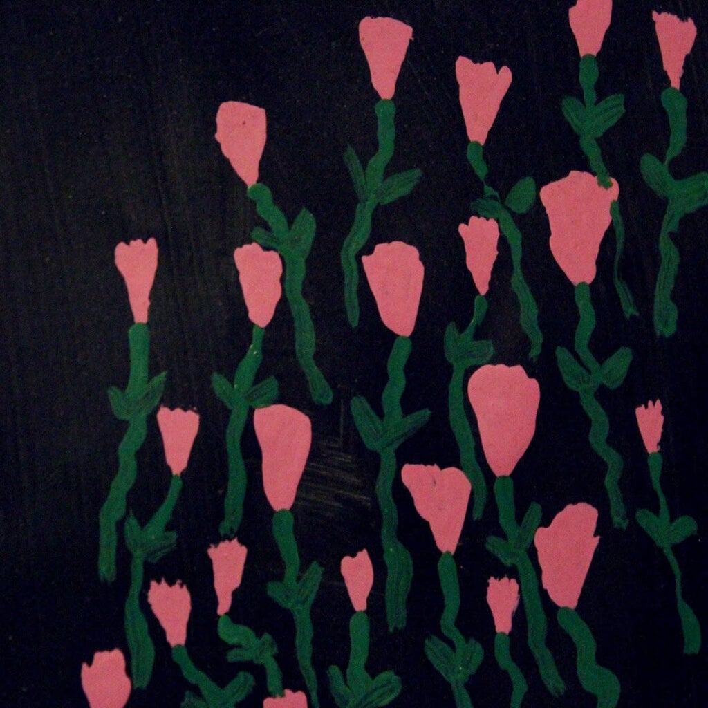 DEHD / Dehd & Fire Of Love